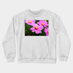 Summery Pink Cosmos Crewneck Sweatshirt